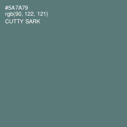 #5A7A79 - Cutty Sark Color Image